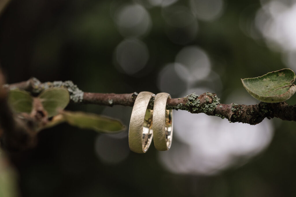 Eheringe auf dem Baum