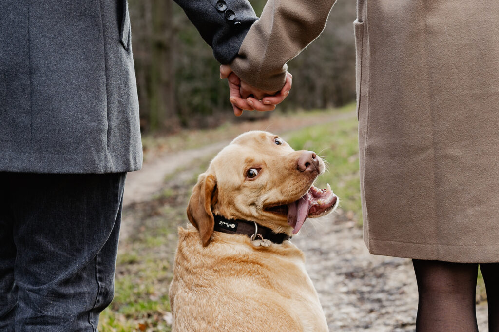 Paar Hand in Hand mit Hund
